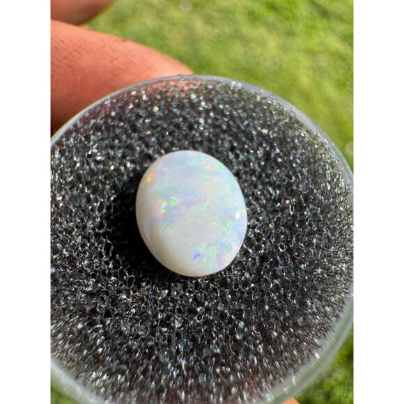 Australian Opal Cabochon - 0.90 carat in Display Box #197 - Picture 7 of 7